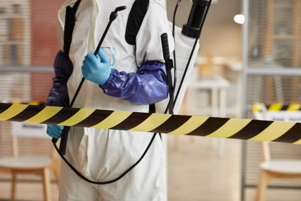Professional Sewage Cleanup technician working in Phillips, WI